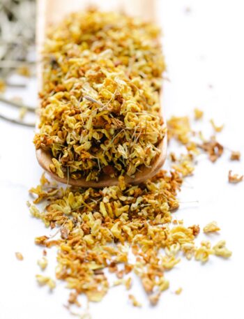 pexels anna pou 8330044 (1)