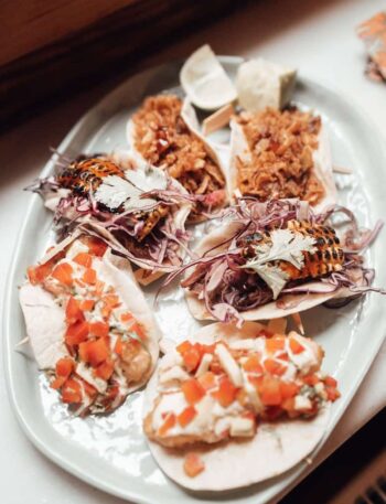 The Delicious Chicken Tinga Tacos pexels furkanfdemir 6310253