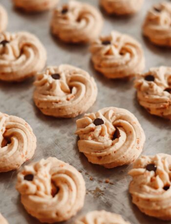 Pumpkin Peanut Butter Breakfast Cookies pexels meggy kadam aryanto 9620118 (1)